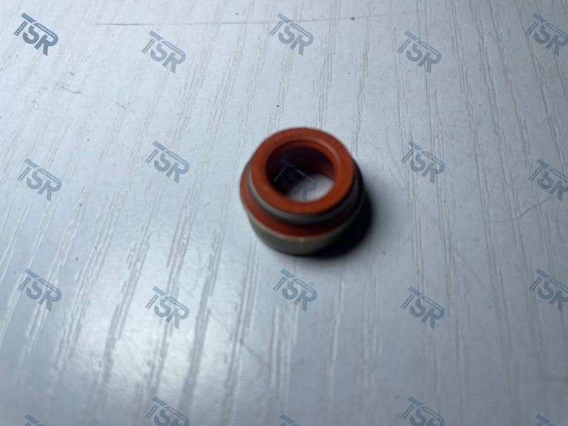 Колпачок маслосъмный