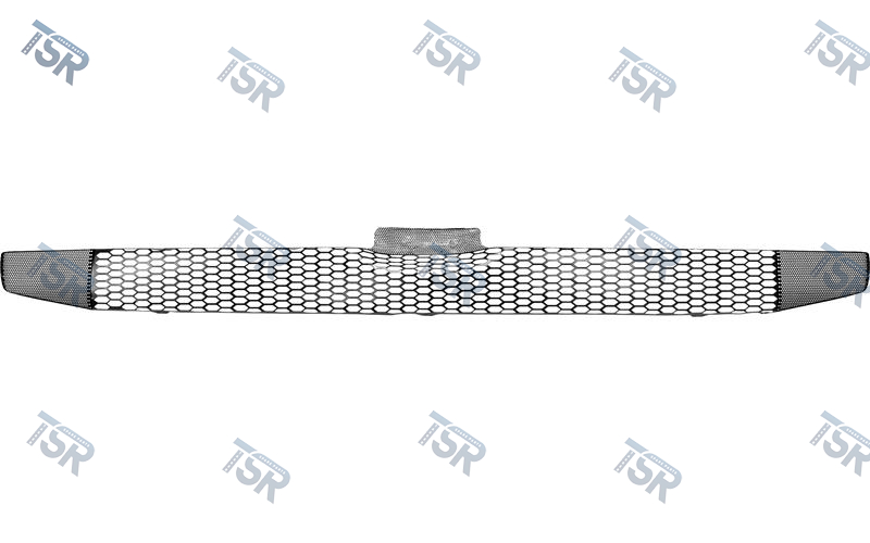 Верхняя сетка нижней решётки V8 (высота 38 см) (6-series R-G Cab)