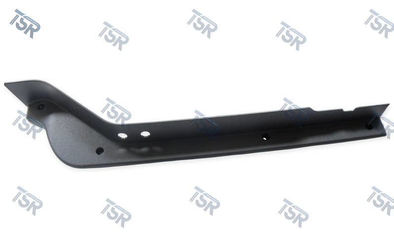 Панель торцевая бампера левая (TGS)