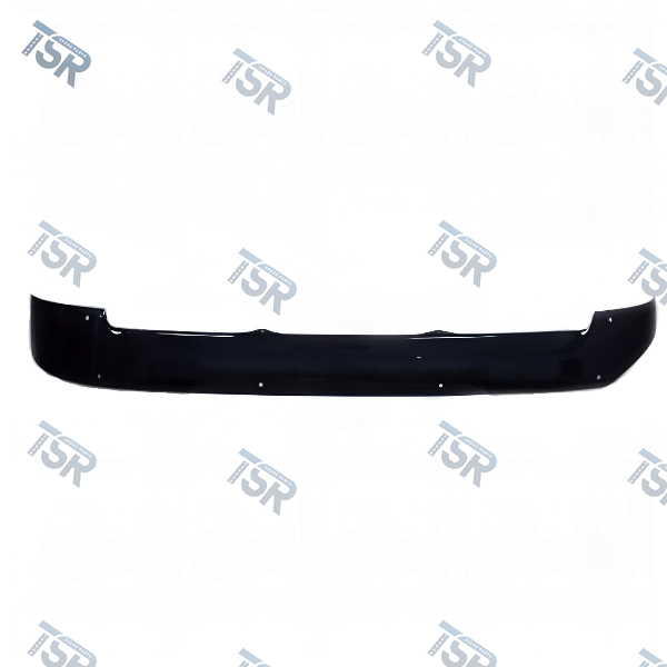 Козырёк солнцезащитный (ACTROS MP4)