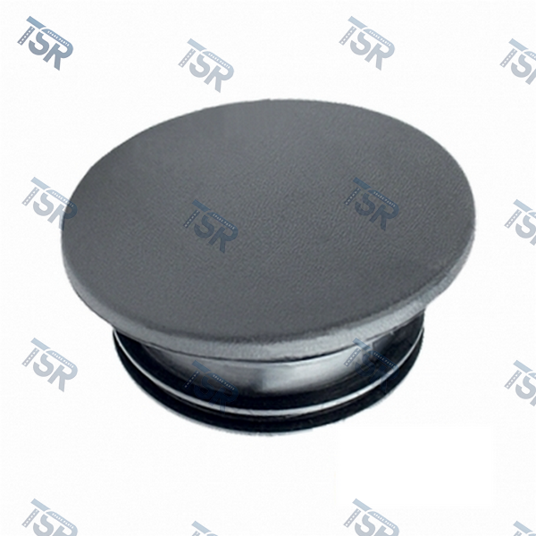 Круглая заглушка бампера (EUROCARGO)