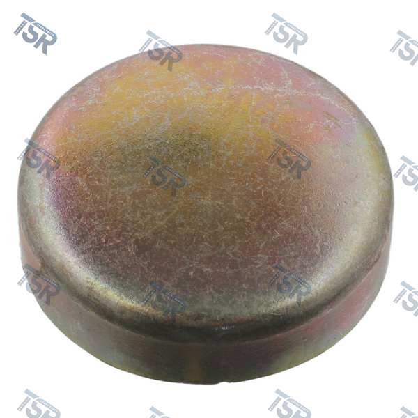 Заглушка блока цилиндров D=45 мм DAF XF105