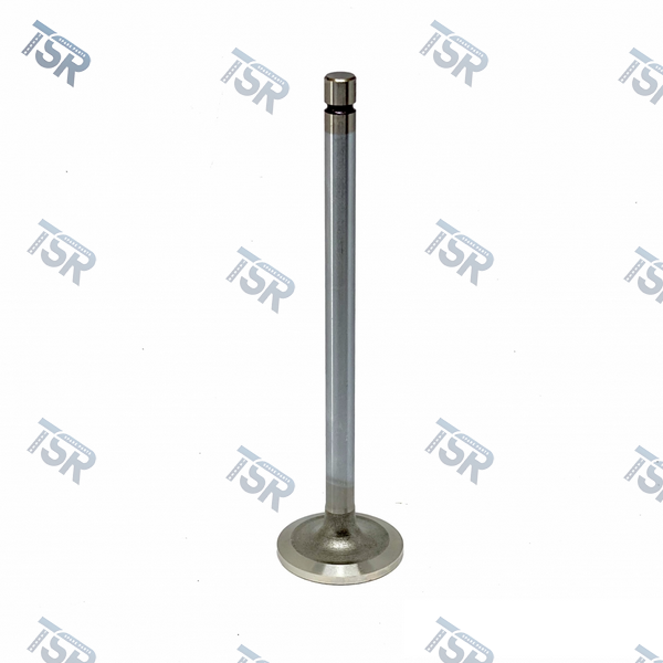 Клапан впускной  двигателя DAF XF105