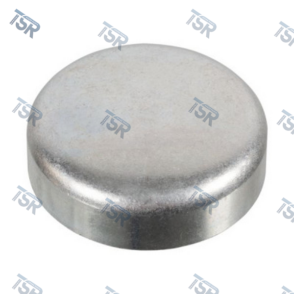 Заглушка ГБЦ D=32ММ  DAF XF95 CF85