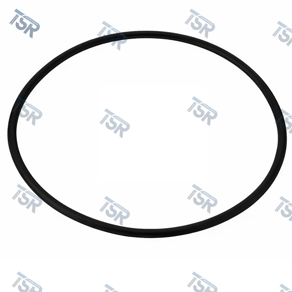 Кольцо уплотнительное насоса ГУР DAF 105XF 85 CF