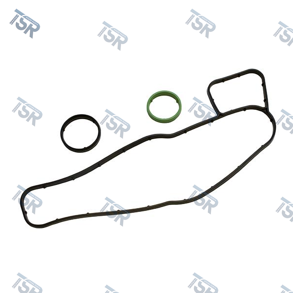 Комплект прокладок модуля масляного фильтра DAF XF105