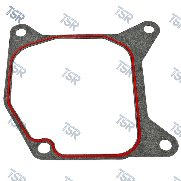 Прокладка впускного коллектора DAF XF105