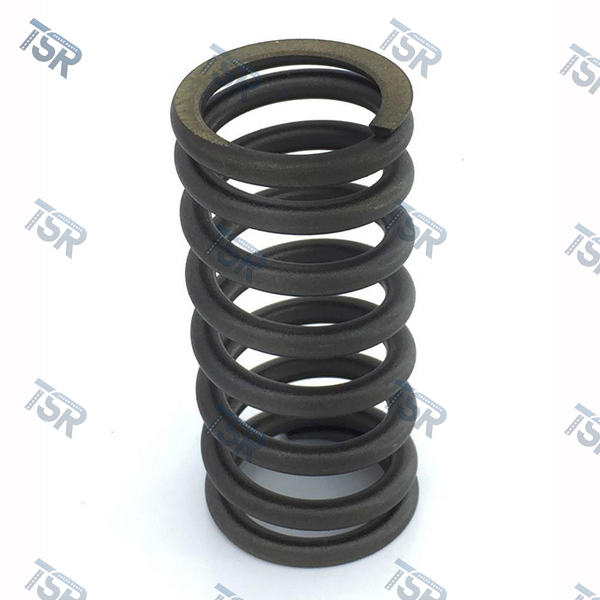 Пружина выпускного клапана двигателя DAF XF95 CF85