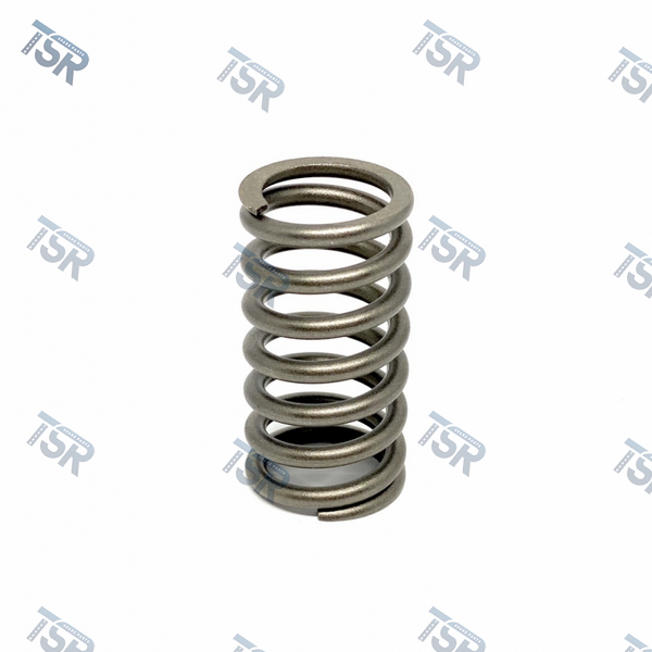 Пружина впускного клапана двигателя DAF XF95 CF85