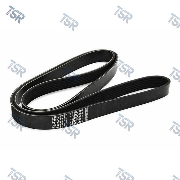 Ремень поликлиновый 7PK L=1753mm DAF XF105 CF85