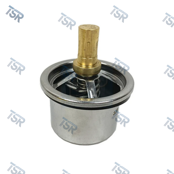 Термостат двигателя T=87C  DAF XF105 CF85