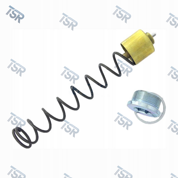 Термостат системы смазки DAF XF105 CF85