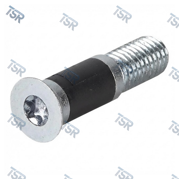 Винт замка двери DAF XF105 XF95