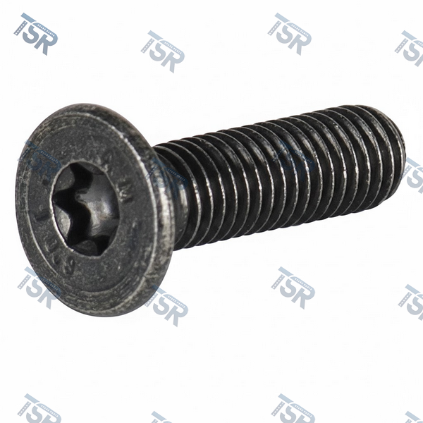 Винт с потайной головкой M8x30 замка двери DAF XF95 XF105