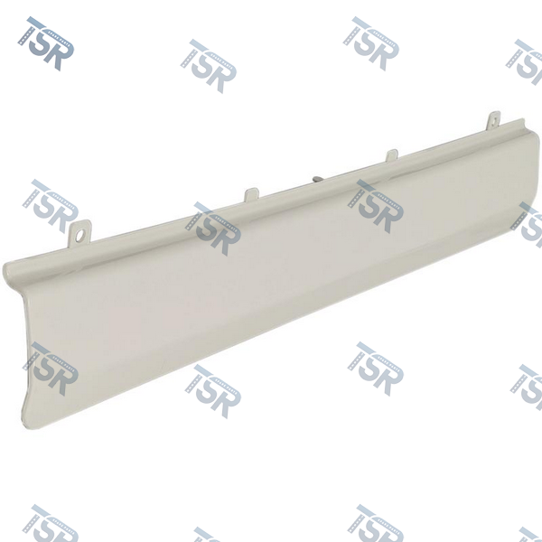 Заглушка решетки радиатора DAF XF106