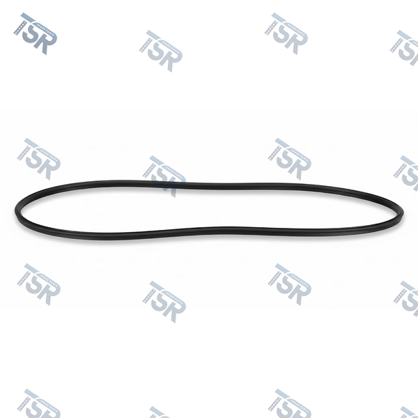 Уплотнитель дверного проема DAF XF95 XF105