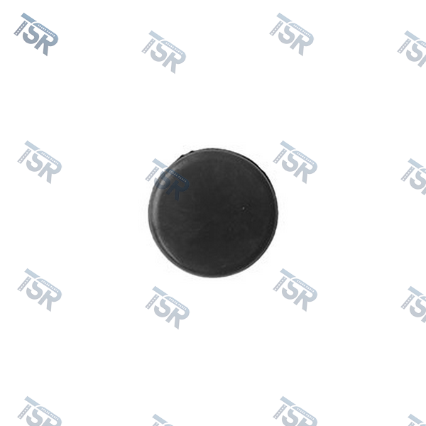 Заглушка заднего крыла DAF XF105 XF106