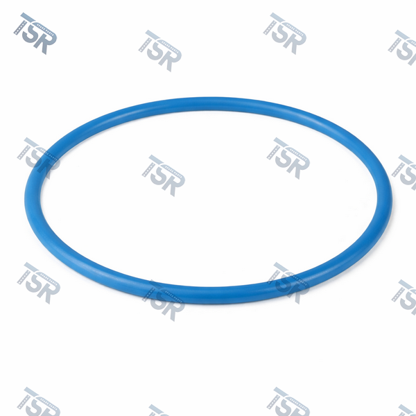 Кольцо уплотнительное дифференциала DAF XF105 XF95 CF85