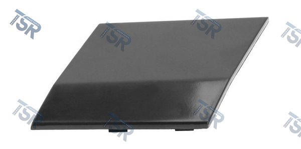 Колпачок окантовки фары правый (FH4)