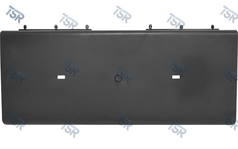 Держатель номерного знака (TGM euro-6)