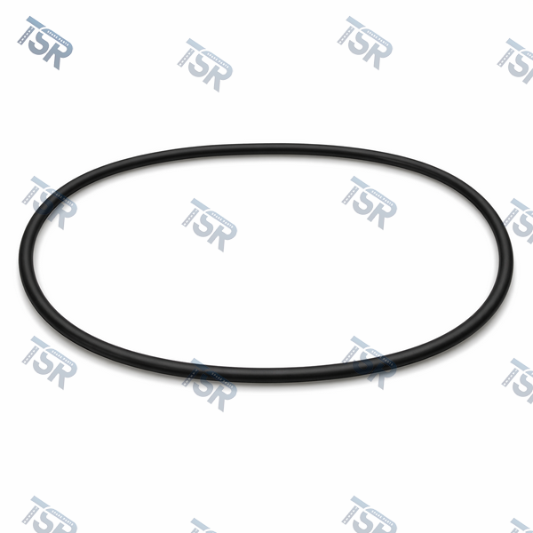 Кольцо помпы DAF XF106 (128X3mm)