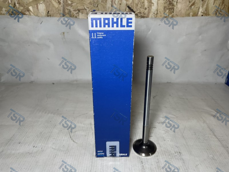 Клапан впускной