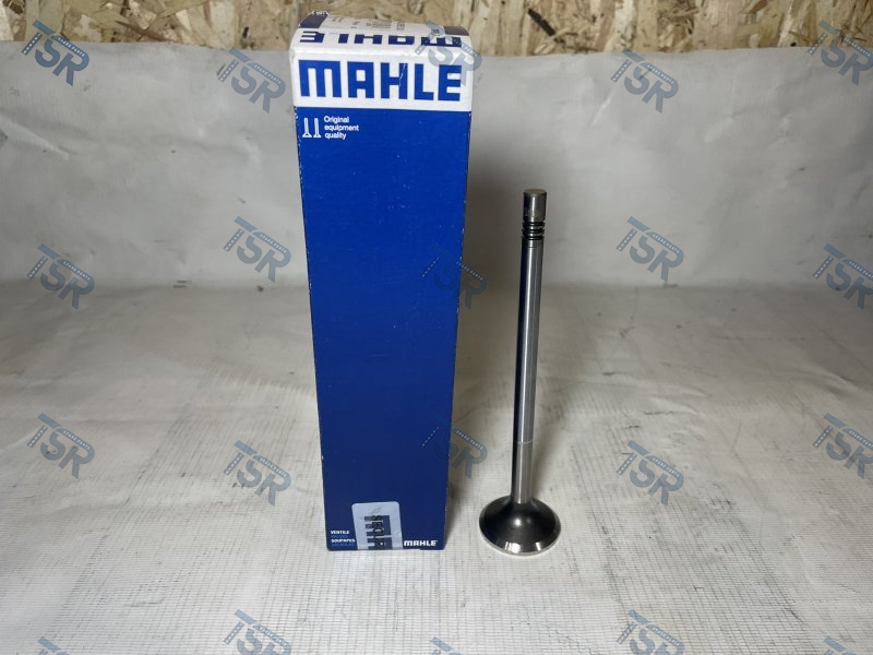 Клапан выпускной