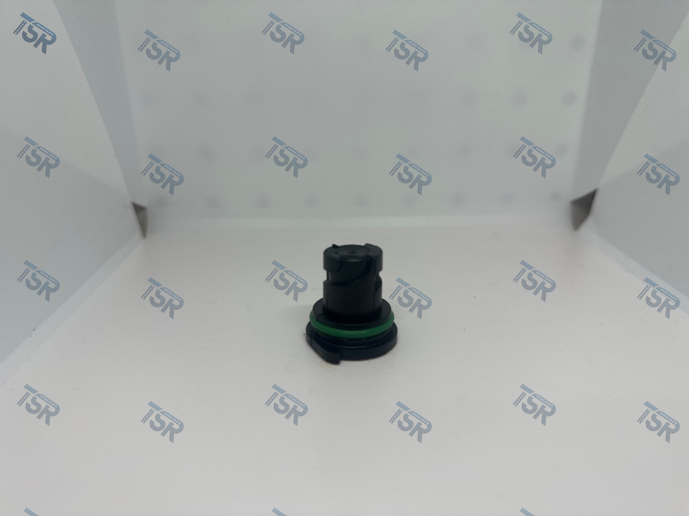 Пробка маслосливная