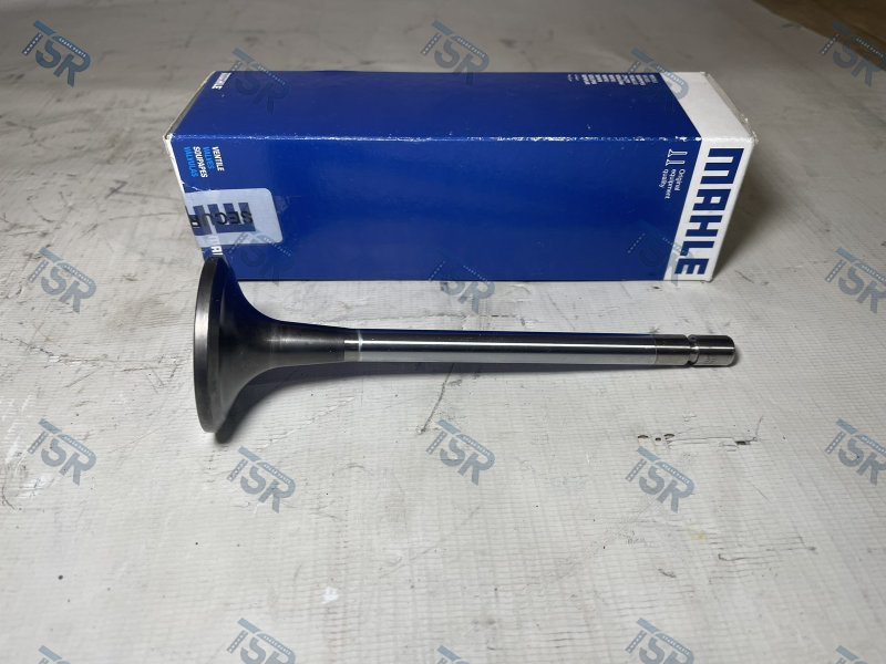 Клапан впускной